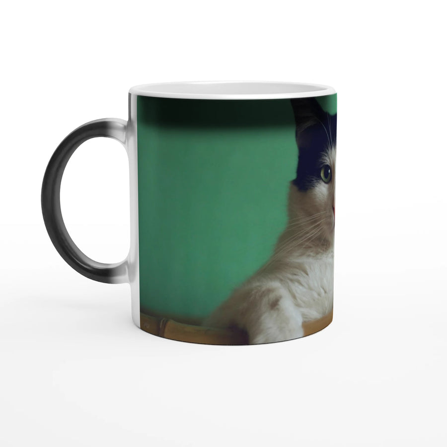Magic 11oz Ceramic Mug