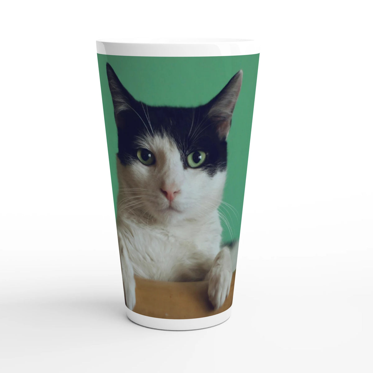 Ceramic mug colour options