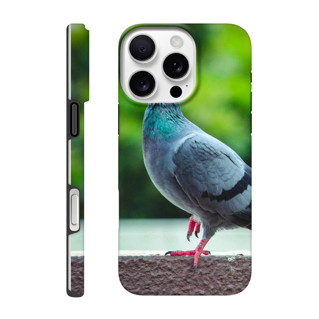 Phone cases